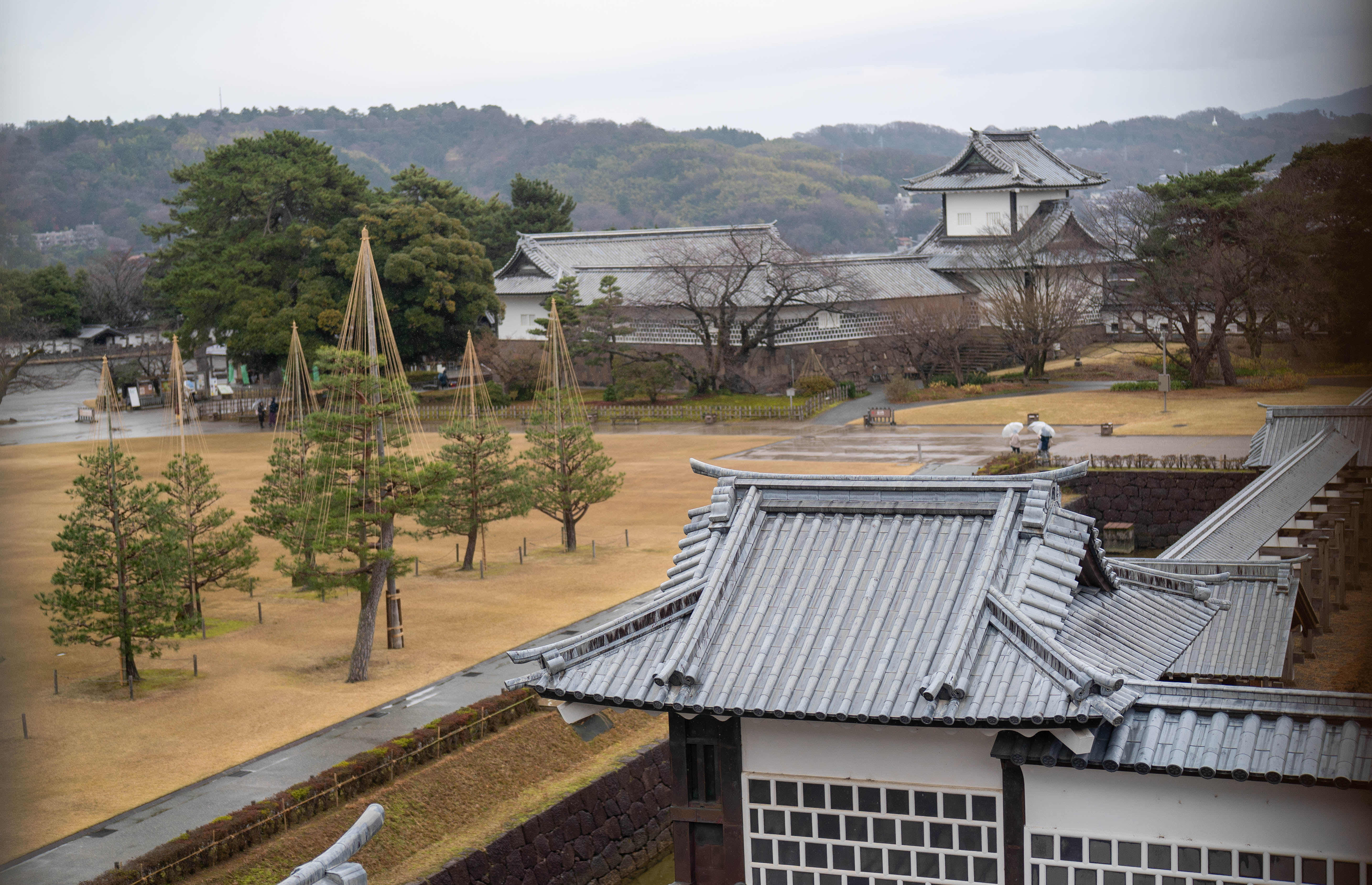金泽一泊两日游:传统与现代的交响诗 金泽一泊两日游:传统与现代的交响诗