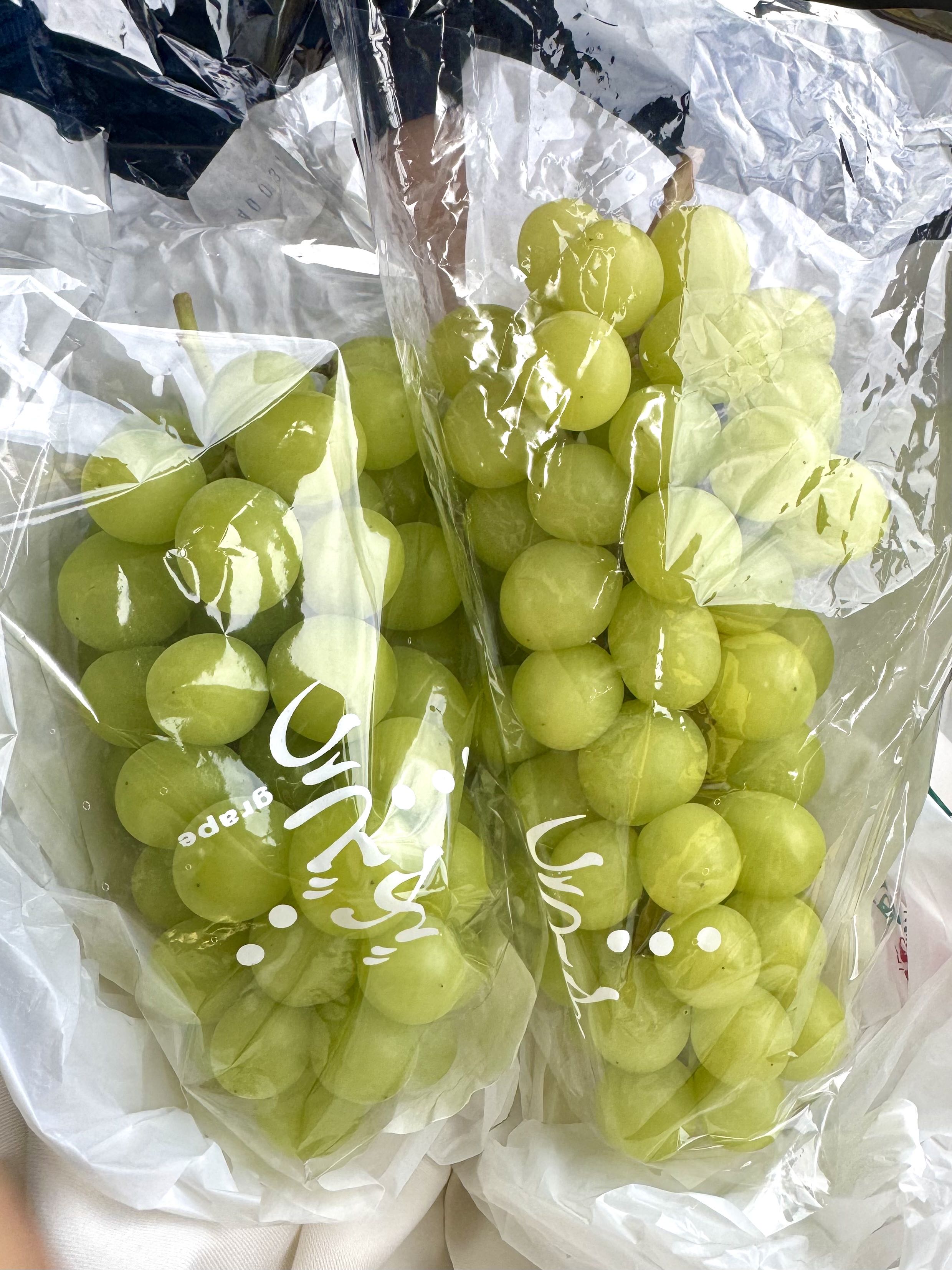 日本大巴旅行体验 跟团一日游 HIS 群马「诹访峡」 日本大巴旅行体验 跟团一日游 HIS 群马「诹访峡」