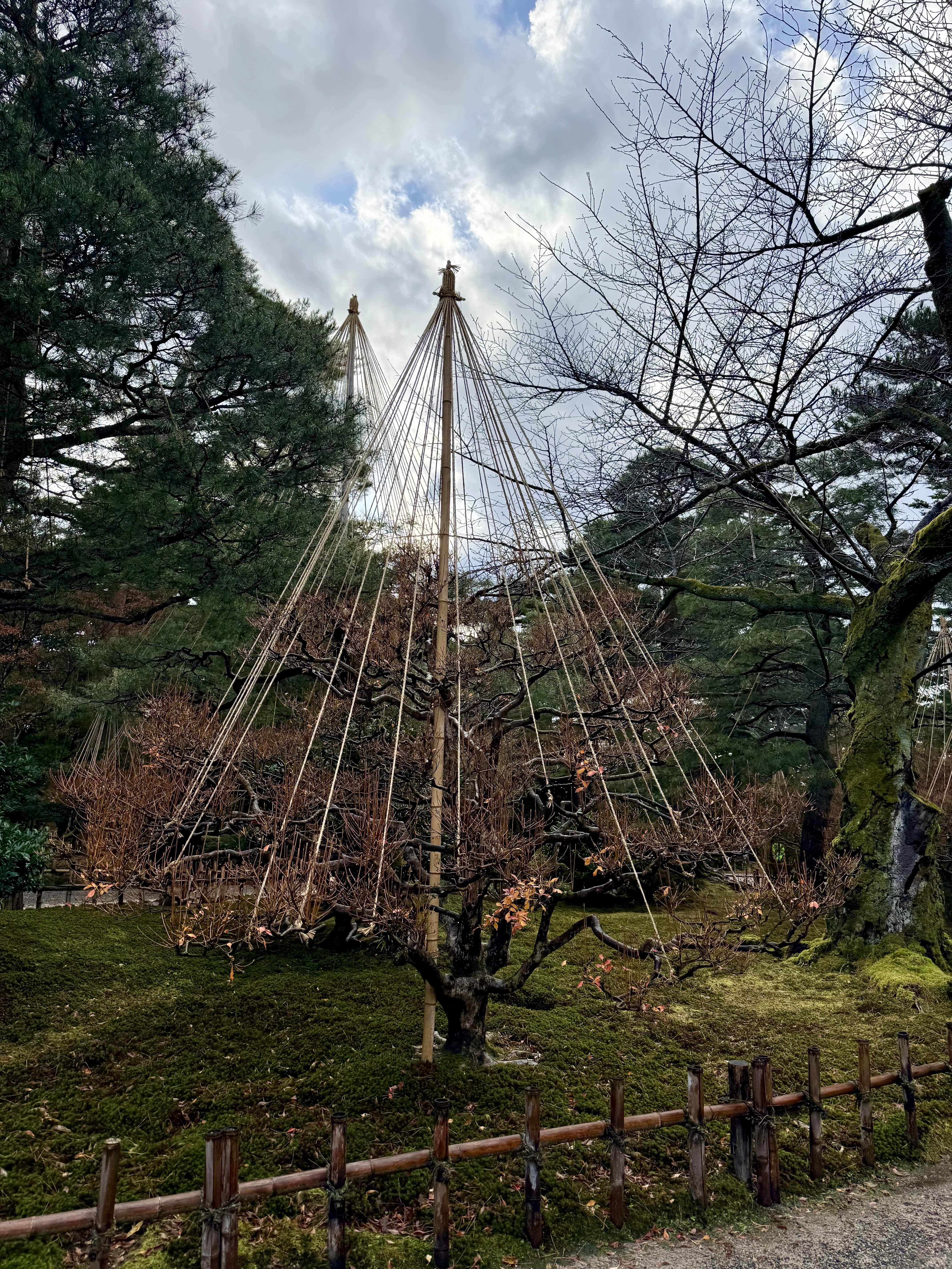 金泽一泊两日游:传统与现代的交响诗 金泽一泊两日游:传统与现代的交响诗